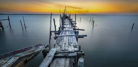2019_5_Carrasqueira - José Nuno Rosado