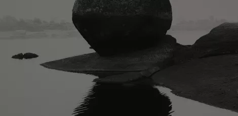 Foto mención de Honor