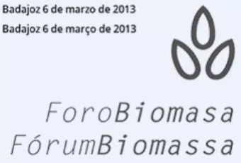 20130306_foro_biomasa.jpg