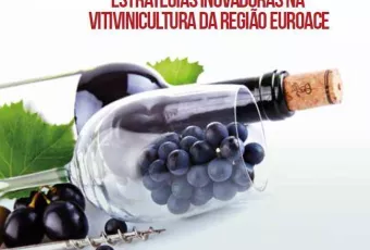 20131017_vitivinicultura_euroace.jpg