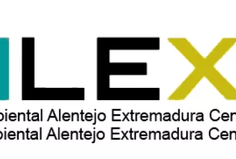 20150213_logootalexc.jpg