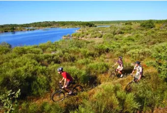 20160114_bicicletas_alentejo.jpg