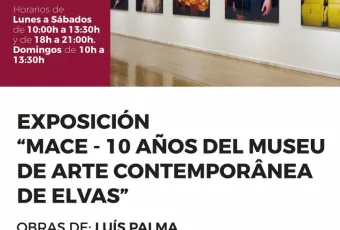 20170612_exposicion_mace_merida.jpg