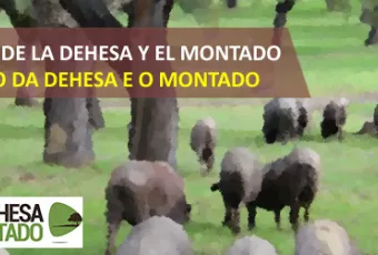 20181121_banner_iii_congreso_dehesa.jpg