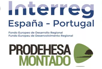 20191126_prodehesa_montado.jpg