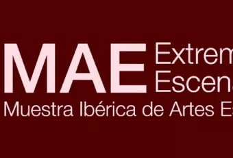 20211115_logo_mae_1.jpg