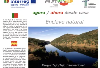 campana_pronto_nos_vemos_euroace_de_1_a_7.007.jpeg