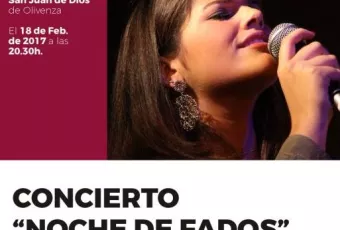 copia_de_20170218_noche-de-fados-olivenza-520x735.jpg