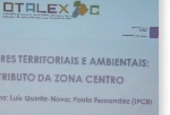destaque_otalex_c.jpg