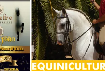 ecuextre.png
