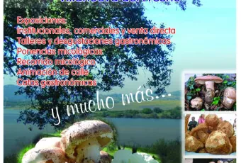 gurumelo_2012.jpg
