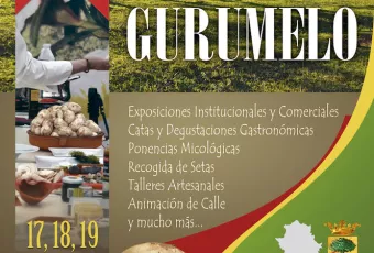 gurumelo_2017_.jpg