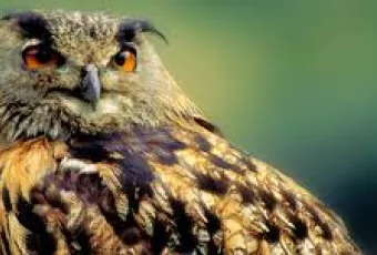 imagem_geopark_naturtejo.jpg