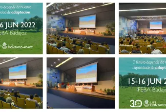 collage congreso montado