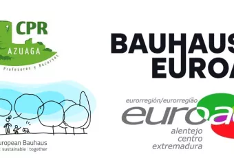 Bauhaus EUROACE Curso CPR