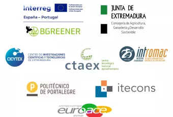 Logos Proyecto Bgreener