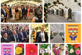Collage Festas do POVO 2026