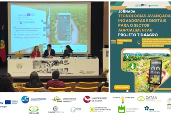 Collage 6 marzo elvas proyecto poctep 