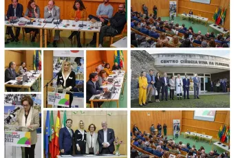 Collage Plenario