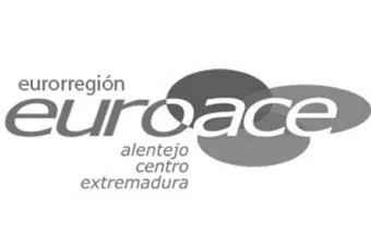 logo_euroace_noticia__.jpg