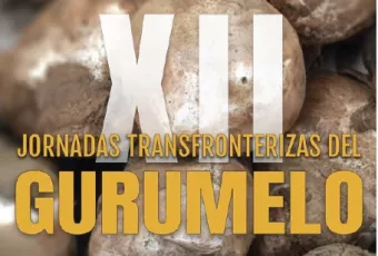 logo_xii_jornadas_gurumelo.jpg