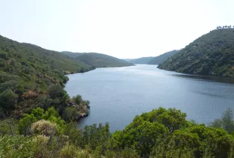 parque_natural_02_vista_rio_tajo_desde_ruta_fuente_geregosa.jpg
