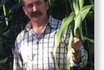 sorgo_sacarino_na_bi.jpg