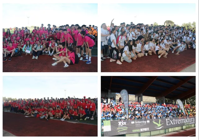 Grupos participantes 1