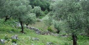 20120523231421.jpg