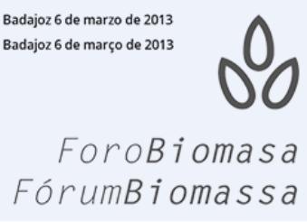 20130306_foro_biomasa.jpg