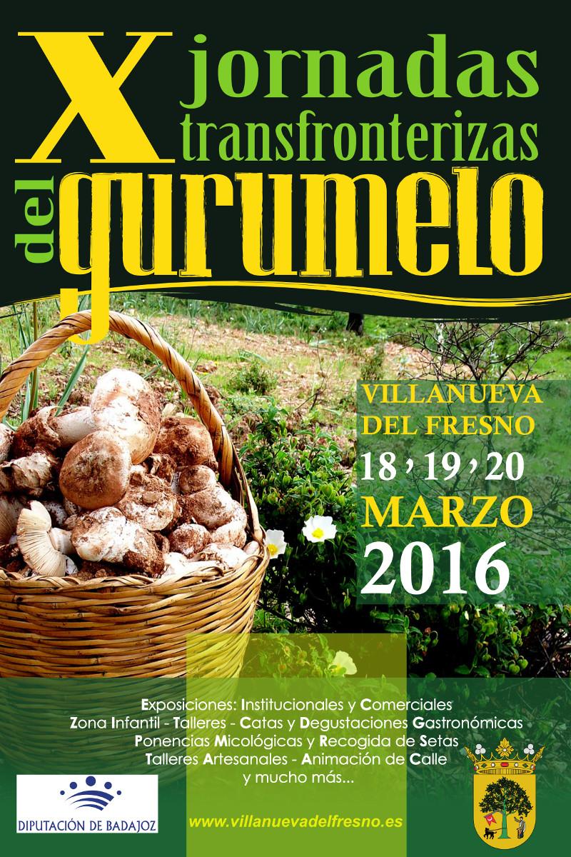 20160302_gurumelo_diputacion.jpg