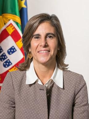20170131_fernanda_rollo.jpg
