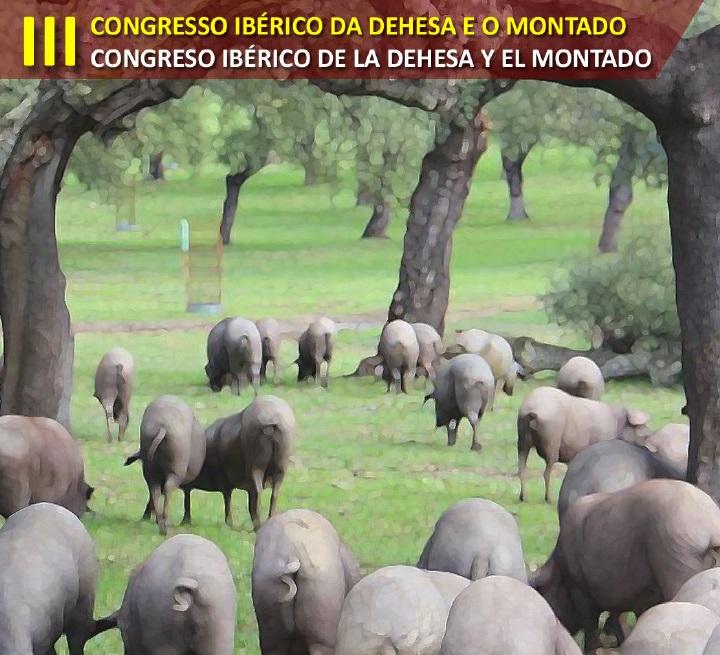 20181121_logo_congreso_iberico_montado.jpg