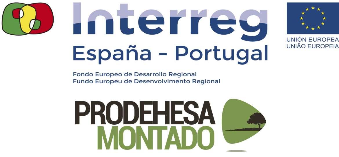 20191126_prodehesa_montado.jpg