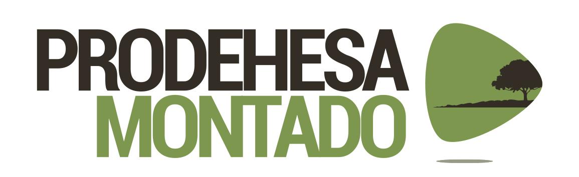 20201202_prodehesa.jpg
