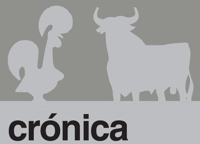 cronica_2010.jpg