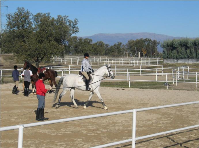 exhibicion_ecuestre.jpg