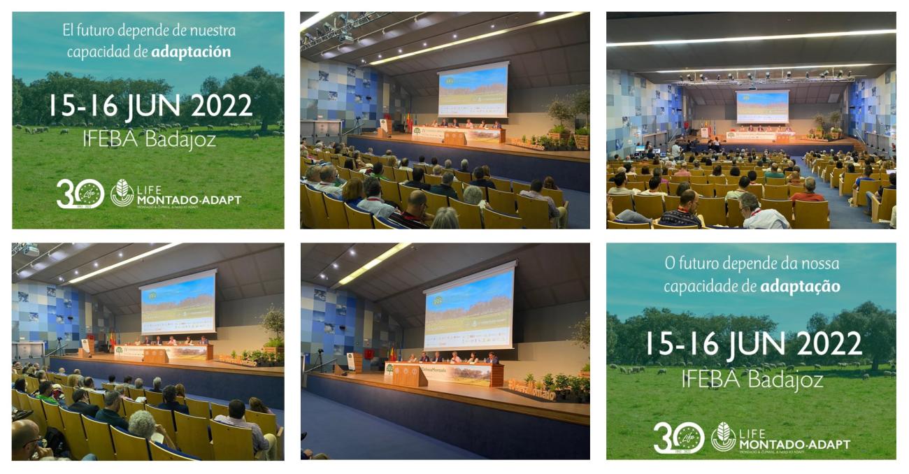 collage congreso montado