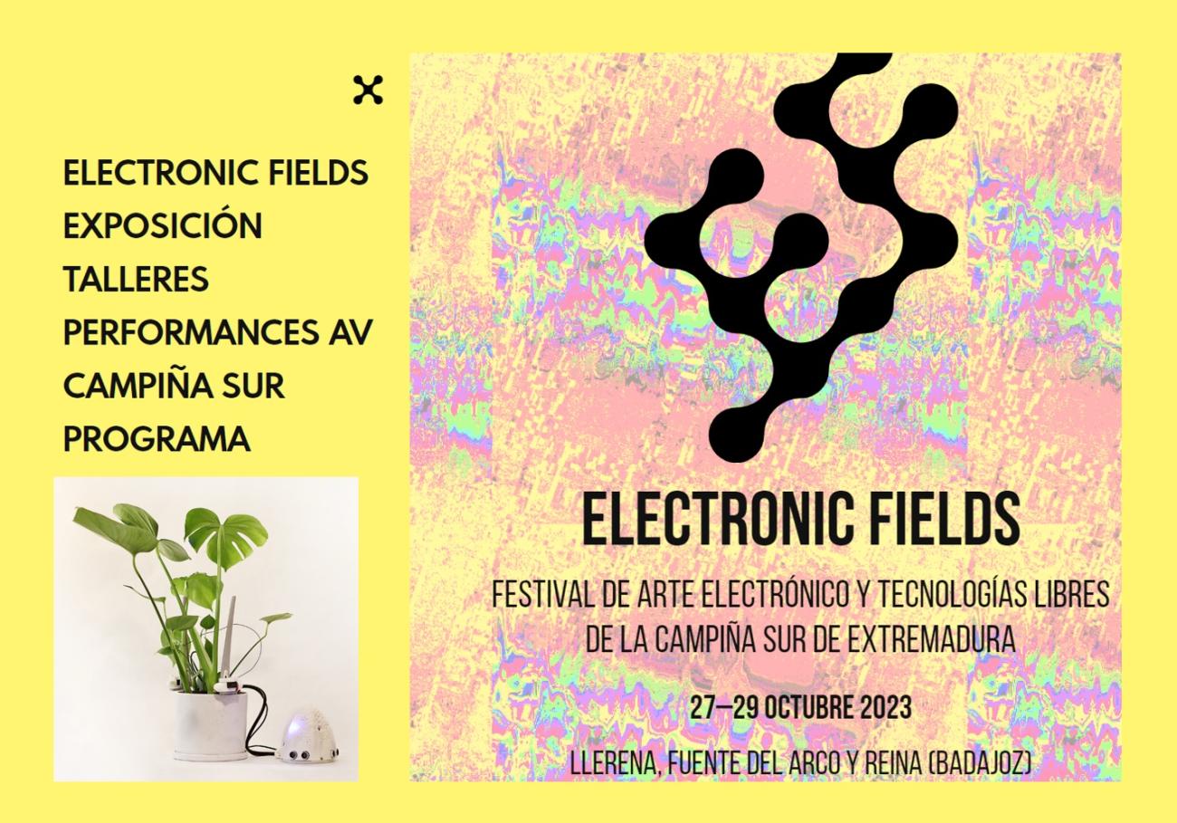 Electronic Fields