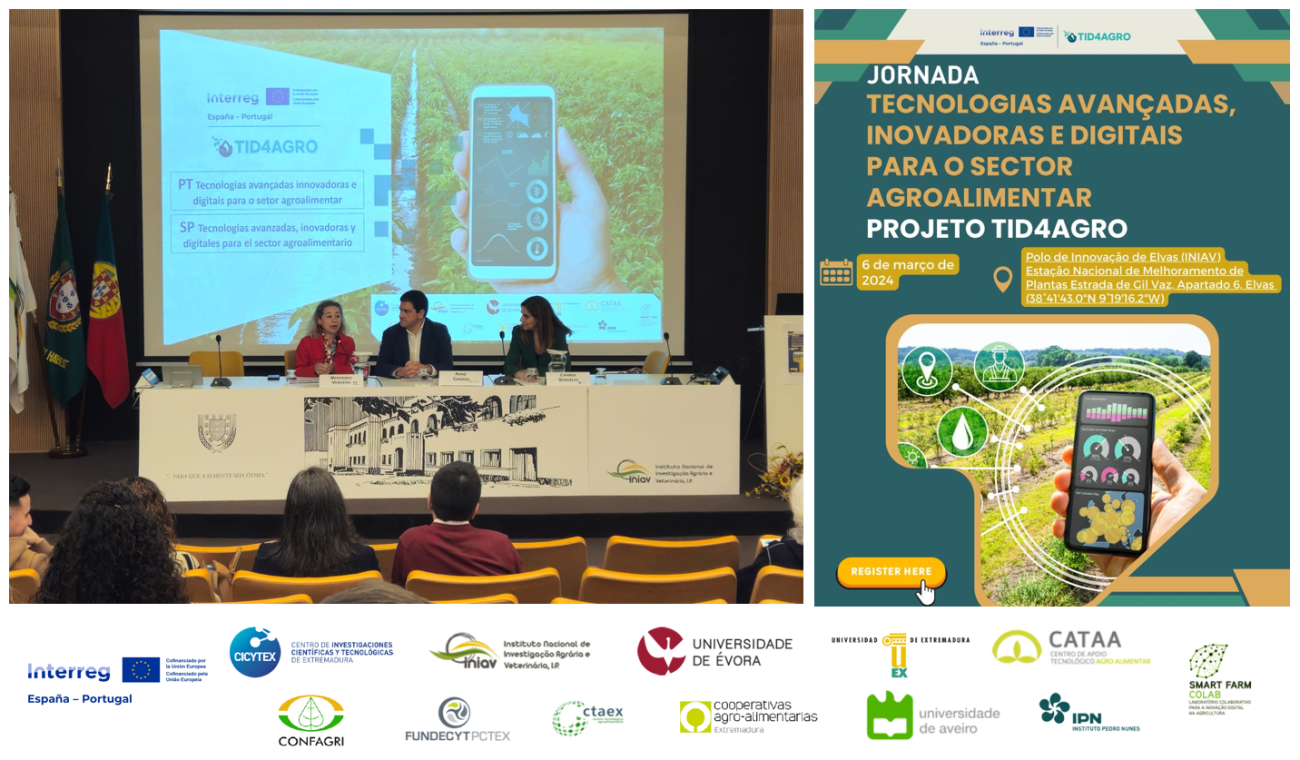 Collage 6 marzo elvas proyecto poctep 