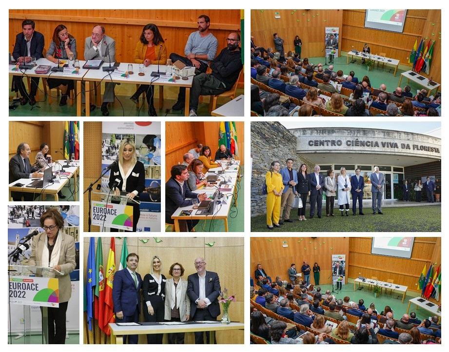 Collage Plenario