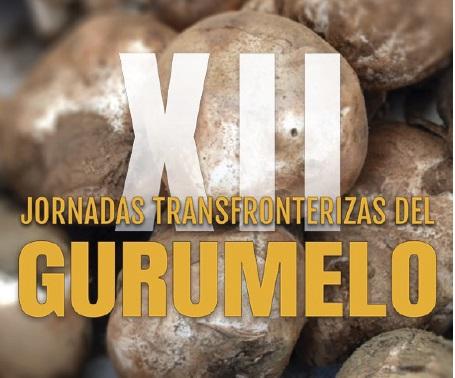logo_xii_jornadas_gurumelo.jpg