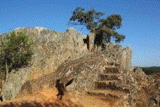 sem_titulo.gif