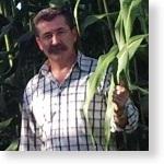 sorgo_sacarino_na_bi.jpg