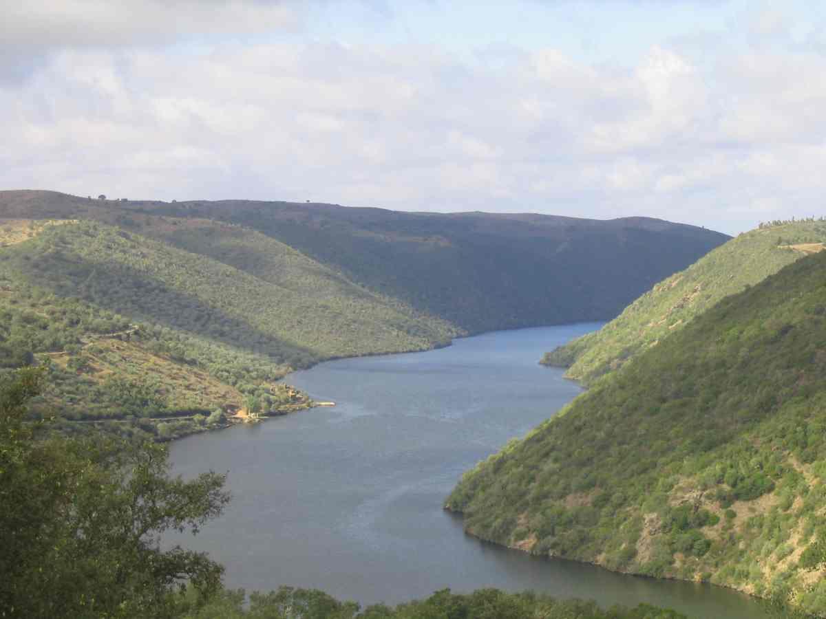 tajo.jpg